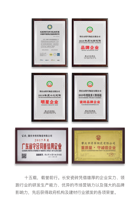 驭梦前行——2020年小蝌蚪视频污下载APP瓷砖邀您共启财富大门(图12)